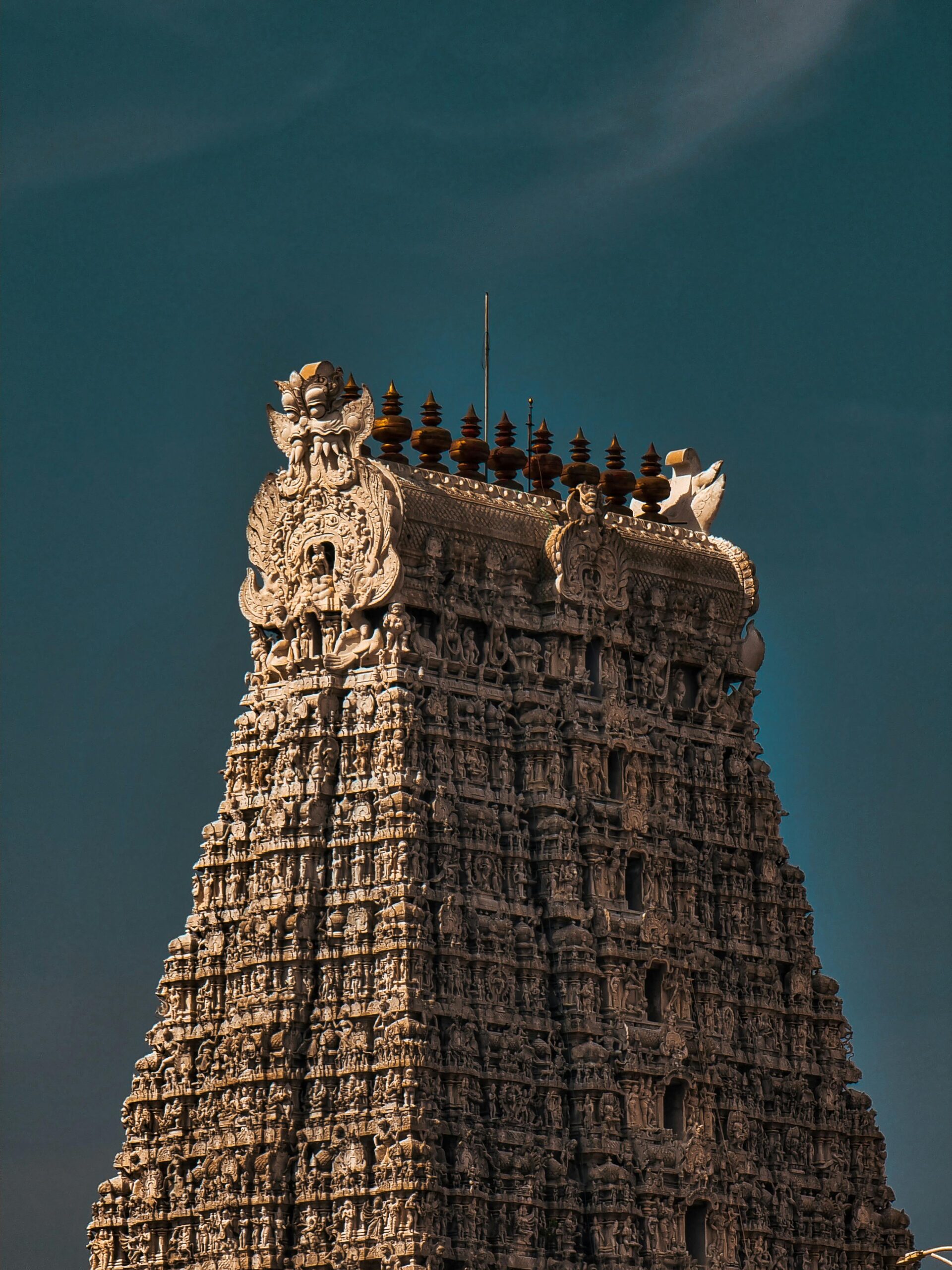 Majestic view of the Thiruchendur Murugan Temple tower in Tamil Nadu, India.